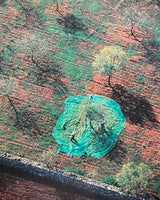 Pestil Books for vitruta The Earth from the Air