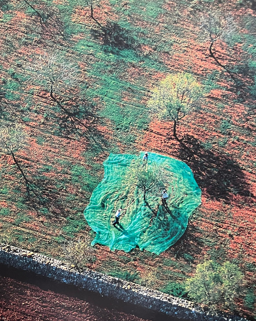 Pestil Books for vitruta The Earth from the Air