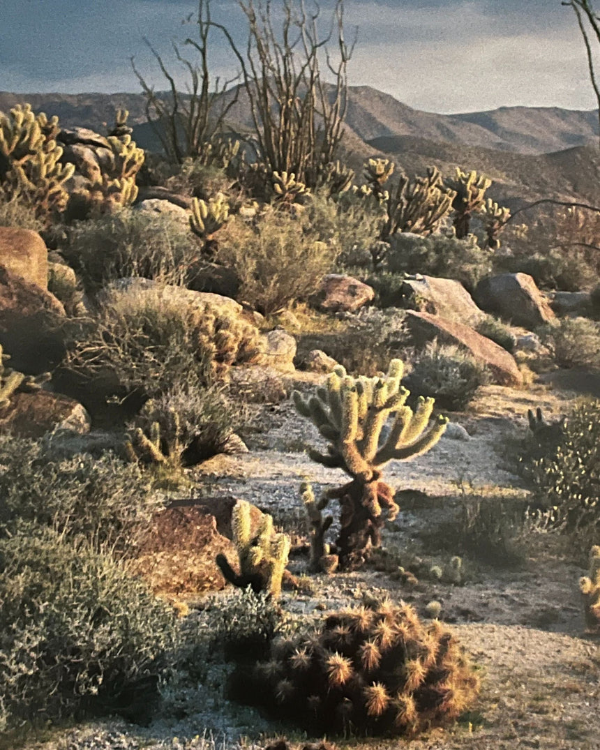 The Heart of California
