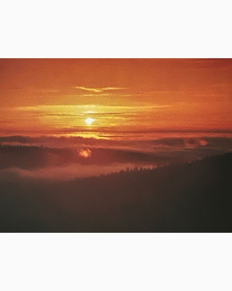 The Heart of California