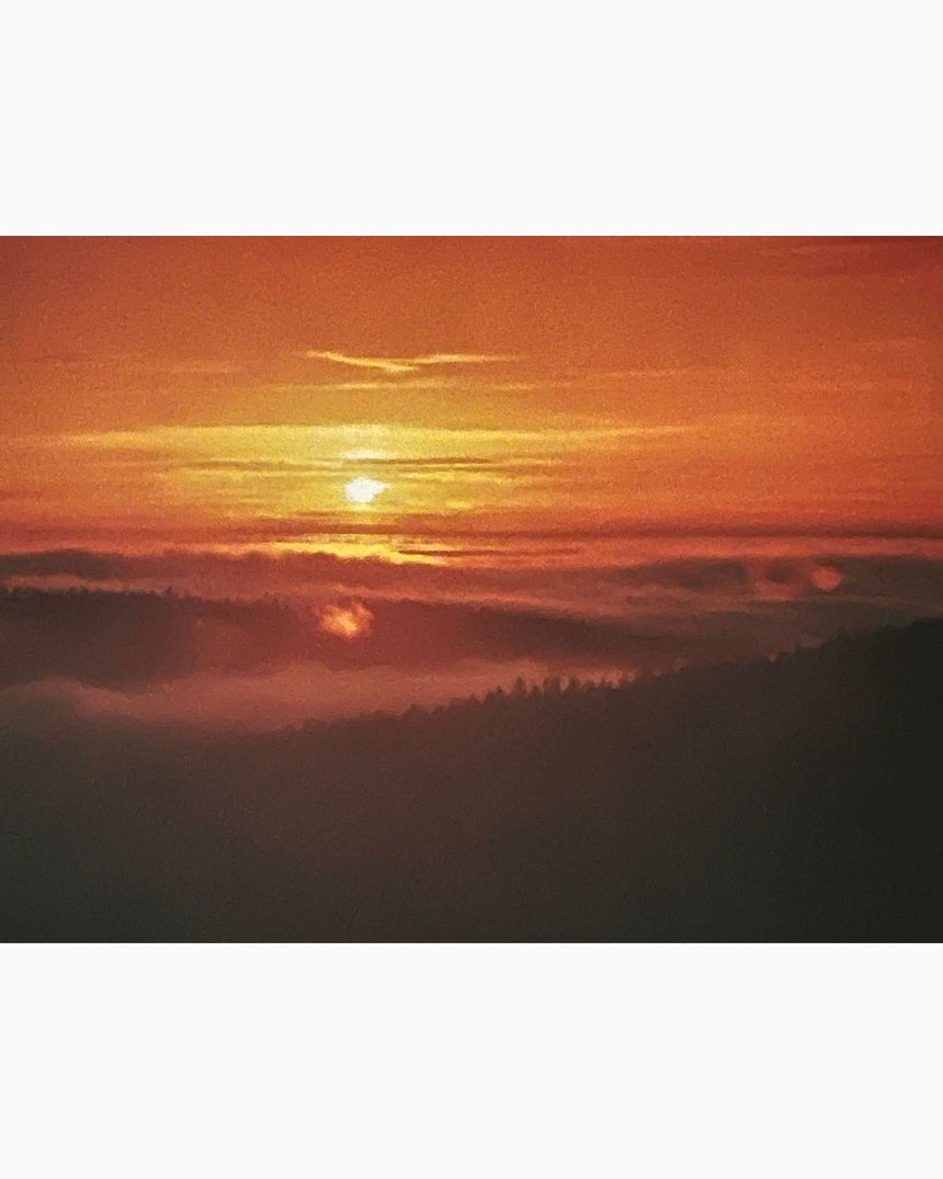 The Heart of California