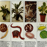 The House Plant Survival Manual