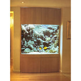 Pestil Books for vitruta The Most Beautiful Aquariums of the World 