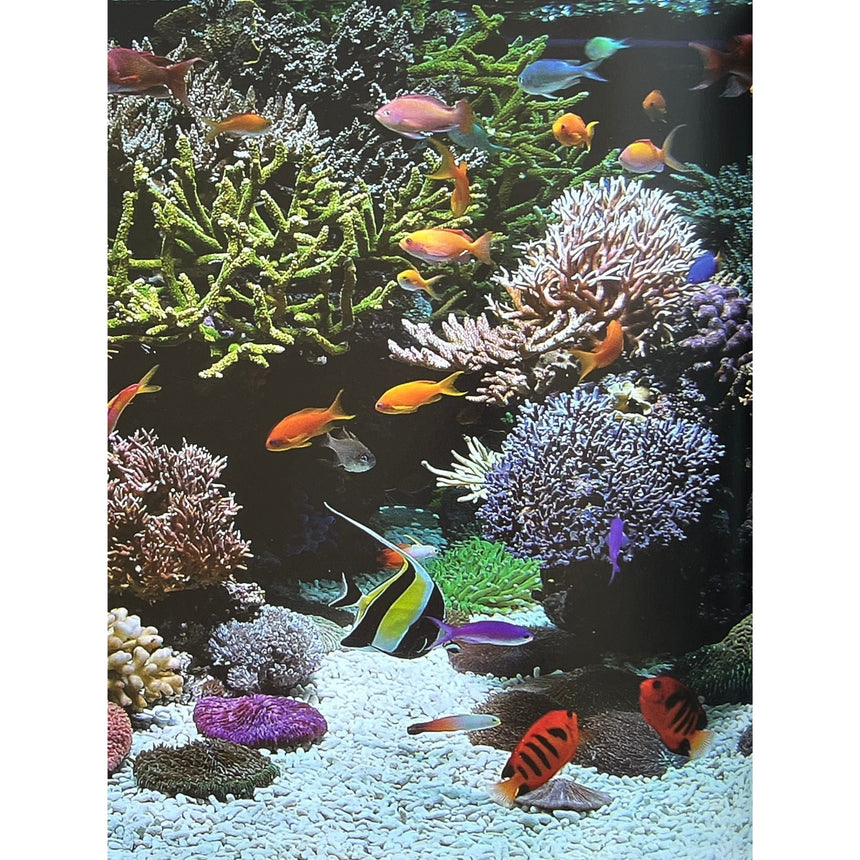 Pestil Books for vitruta The Most Beautiful Aquariums of the World 