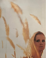 The Pirelli Calendars Complete