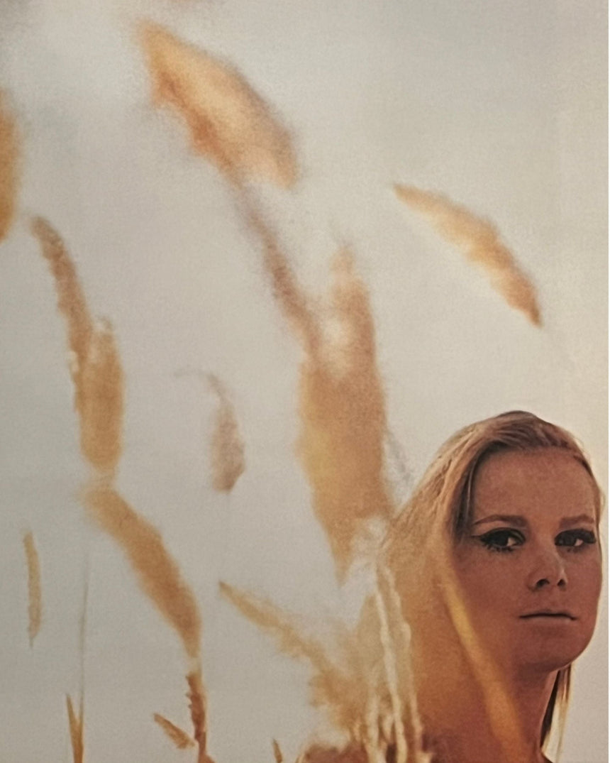 The Pirelli Calendars Complete