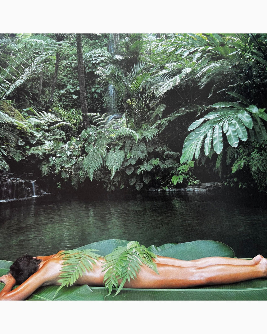 Pestil Books for vitruta The Tropical Spa