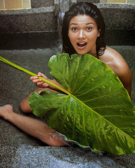 Pestil Books for vitruta The Tropical Spa