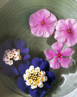 Pestil Books for vitruta The Tropical Spa