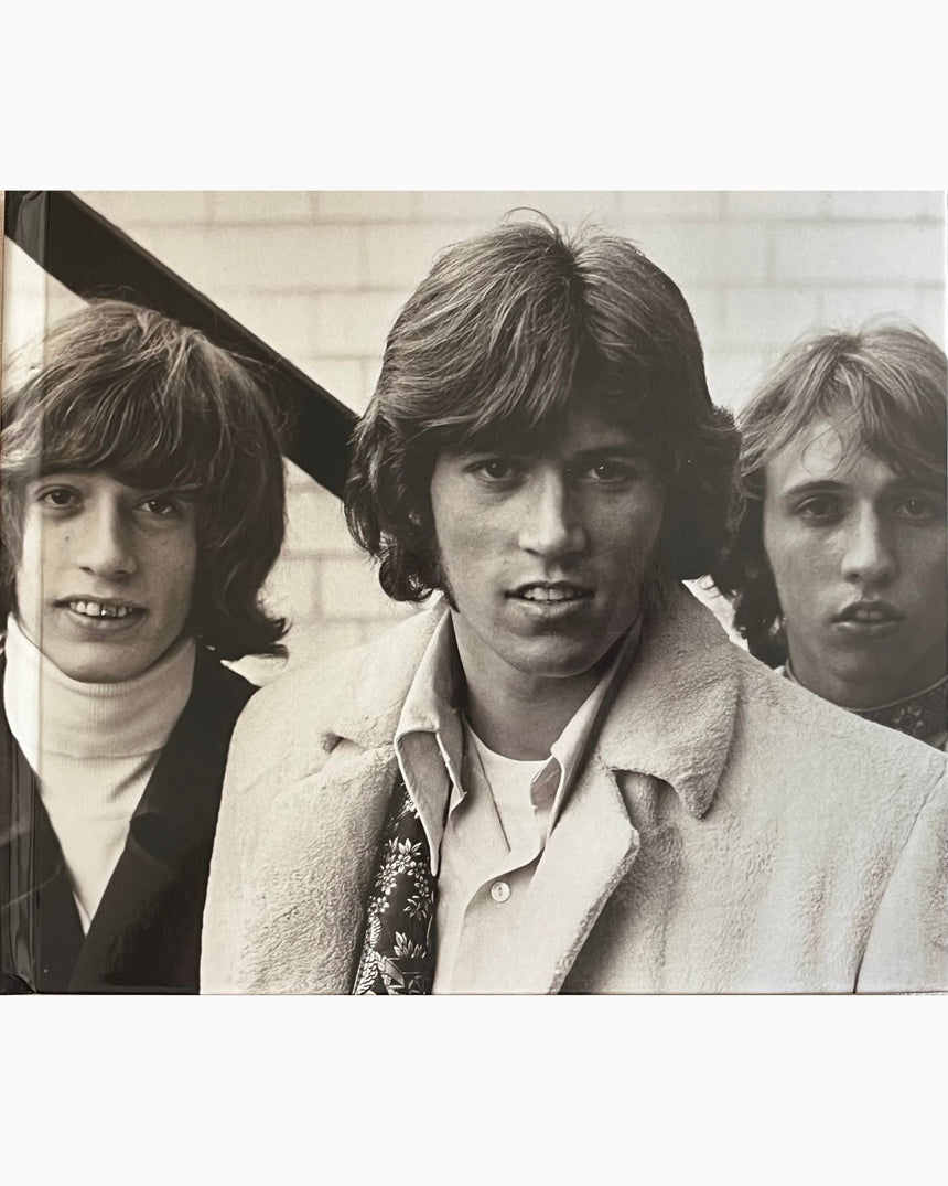 Pestil Books for vitruta Treasure of the BeeGees