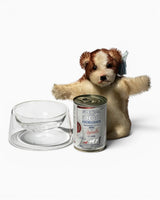 Borosilicate Glass Pet Bowl