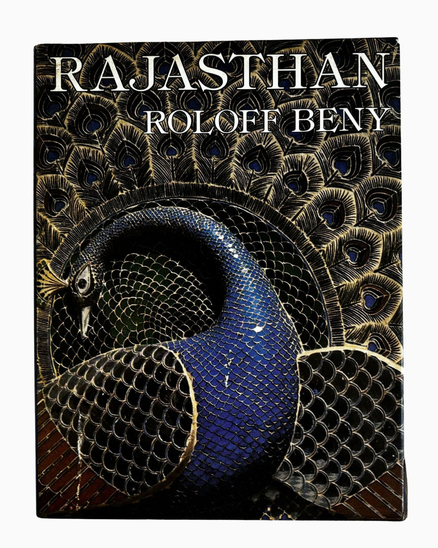 Rajasthan: Land of Kings