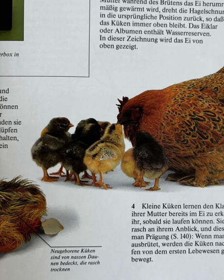 Reich Der Natur: Ein Buch für die ganze Familie