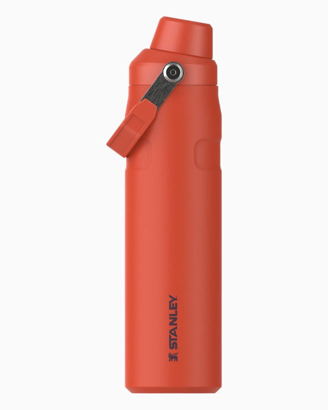 The AeroLight Iceflow Water Bottle 0,60 Lt