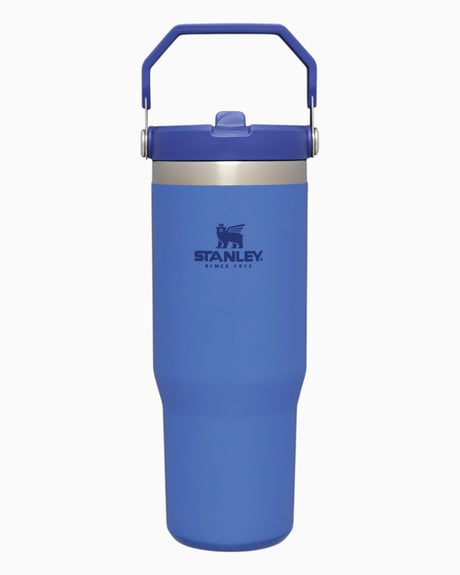 The IceFlow Flip Straw Tumbler 0.89 Lt