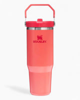 The IceFlow Flip Straw Tumbler 0.89 Lt