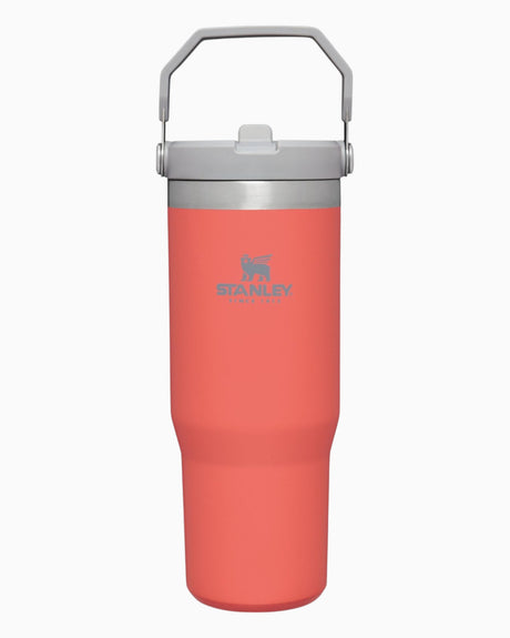 The IceFlow Flip Straw Tumbler 0.89 Lt