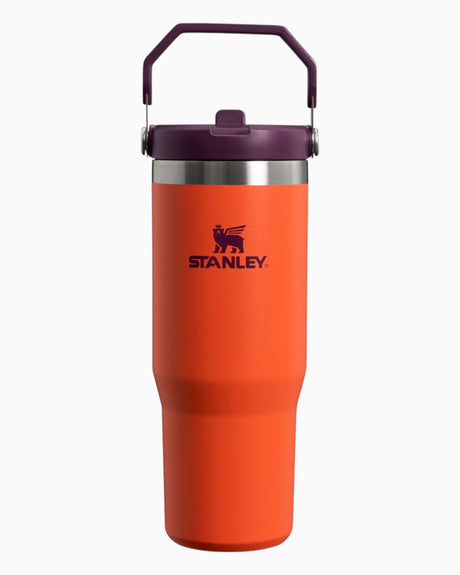 The IceFlow Flip Straw Tumbler 0.89 Lt