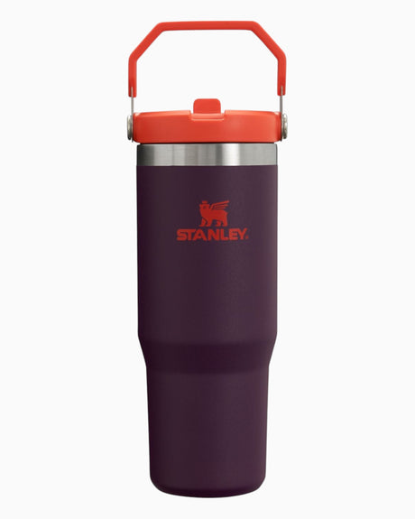 The IceFlow Flip Straw Tumbler 0.89 Lt