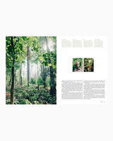 Kinfolk Wilderness