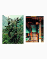 Kinfolk Wilderness