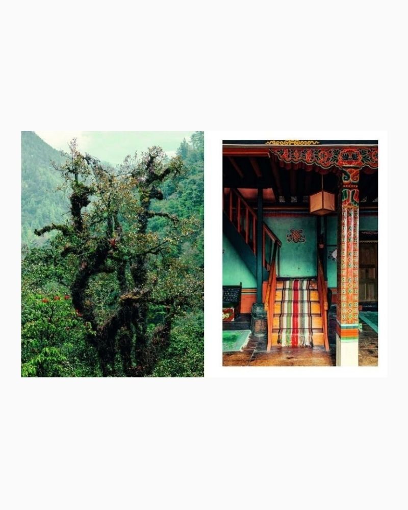 Kinfolk Wilderness