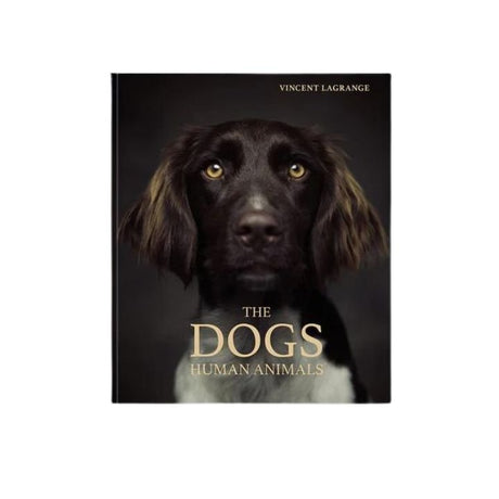 Vitruta Book Selection The Dogs Human Animals 